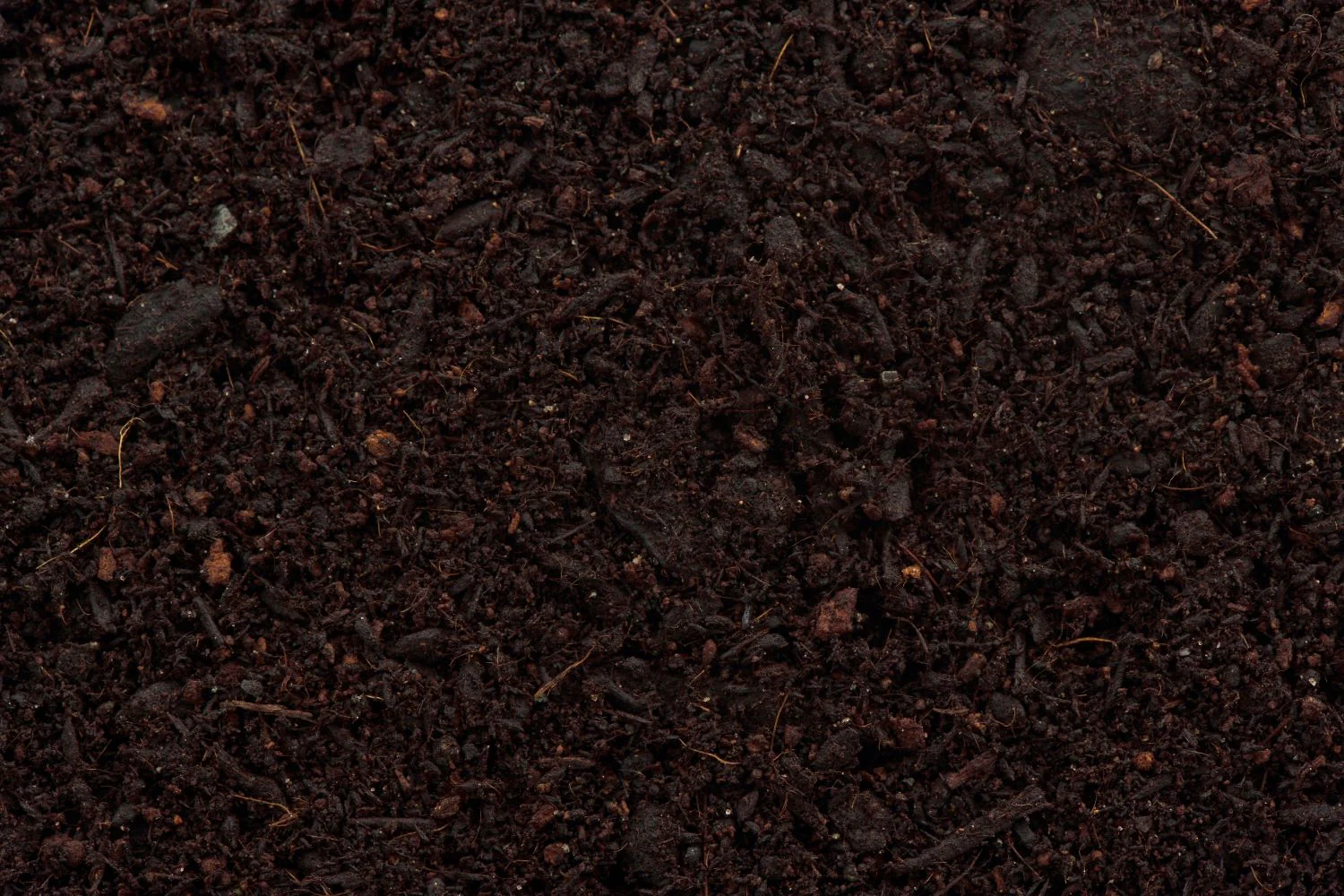 Terreau universel qualité premium - Image 3